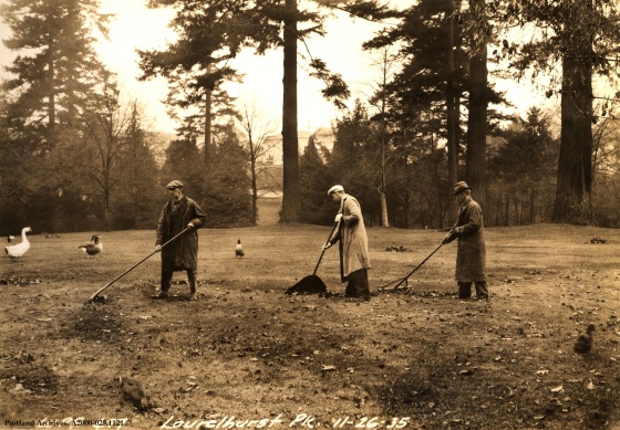 Laurelhurst Park Cleanup, Nov. 6, 1935 : A2000-025.1121